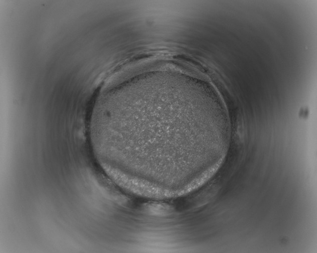 X0000113570512200910091442