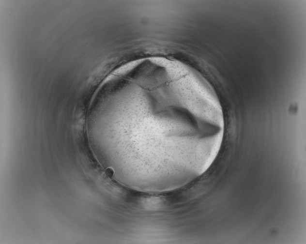 X0000113570513200910091442