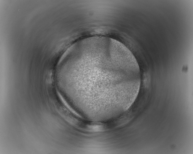 X0000113570514200910091442