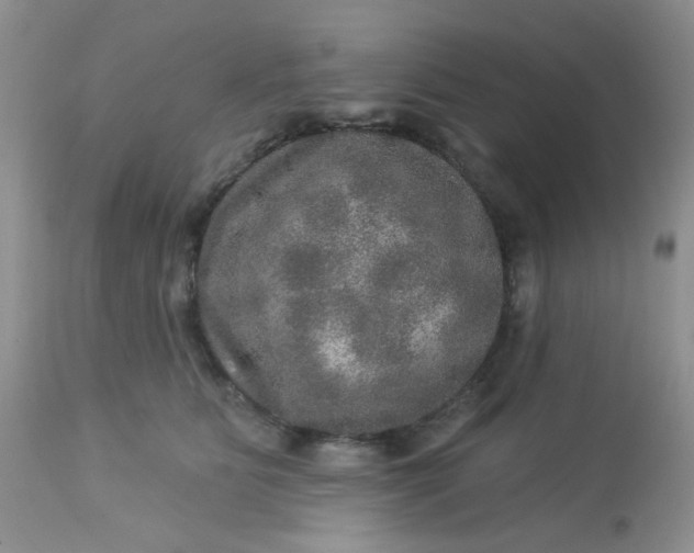 X0000113570515200910091442