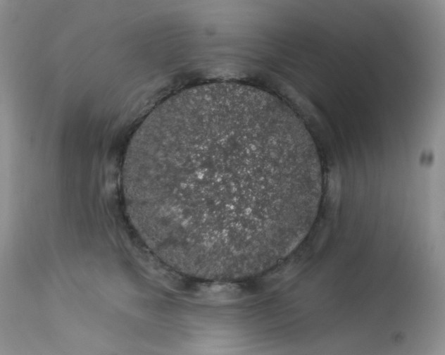 X0000113570517200910091442