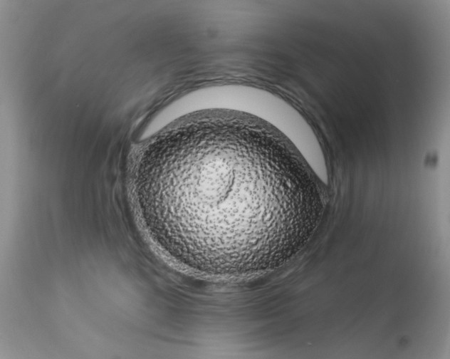 X0000113570520200910091442