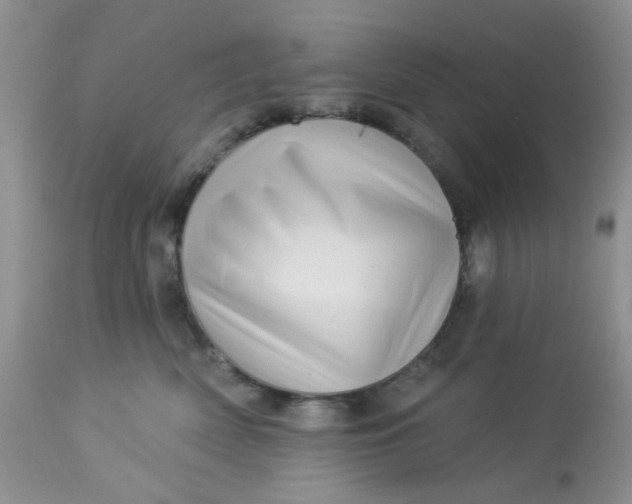 X0000113570522200910091442