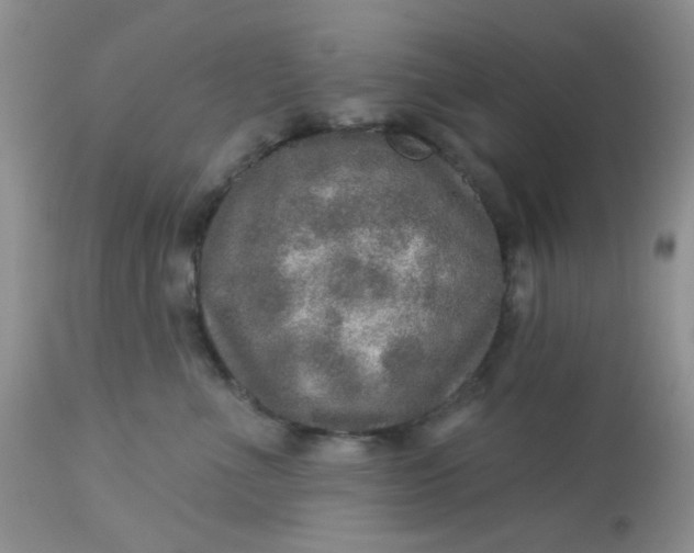 X0000113570523200910091442