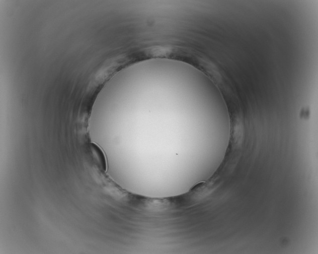 X0000113570525200910091442