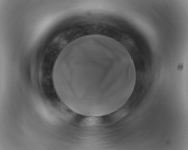 X0000113570526200910091441