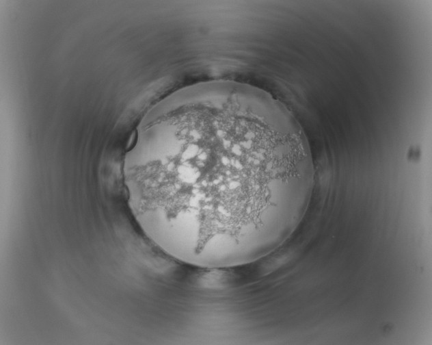 X0000113570527200910091441