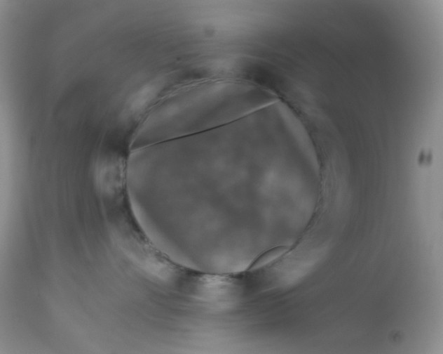 X0000113570528200910091441