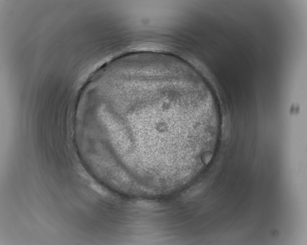 X0000113570529200910091441