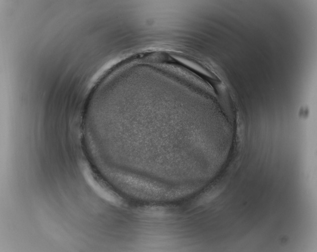 X0000113570530200910091441