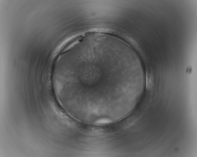 X0000113570531200910091441