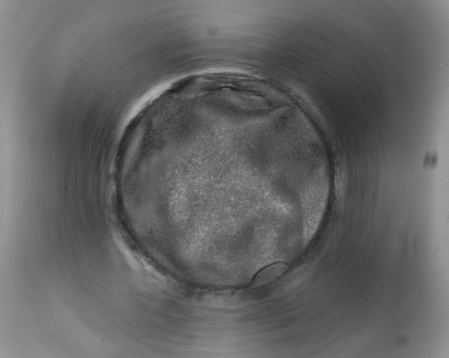 X0000113570532200910091441