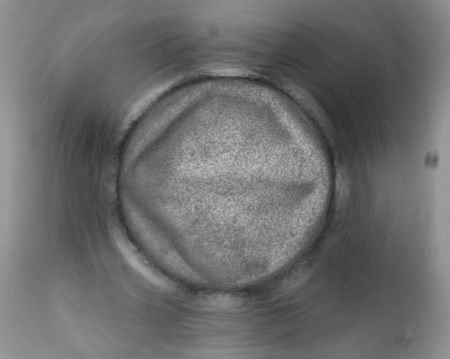 X0000113570533200910091441