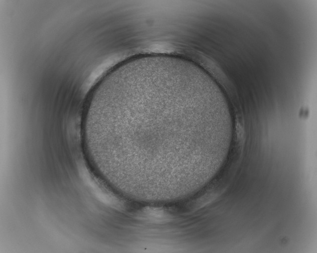 X0000113570534200910091441