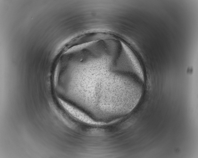 X0000113570535200910091441