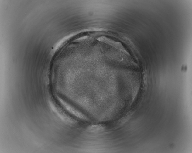 X0000113570536200910091441