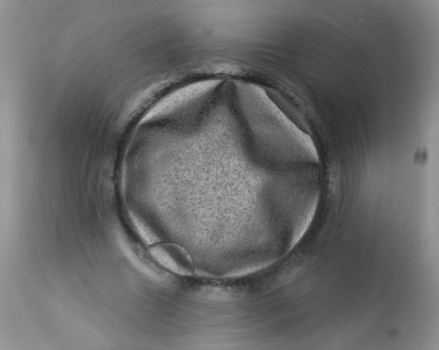 X0000113570538200910091441