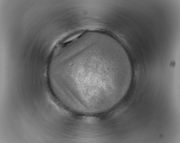 X0000113570539200910091441