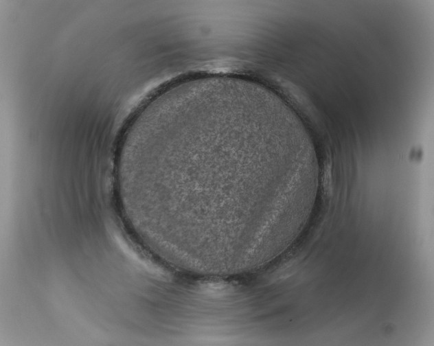 X0000113570540200910091441