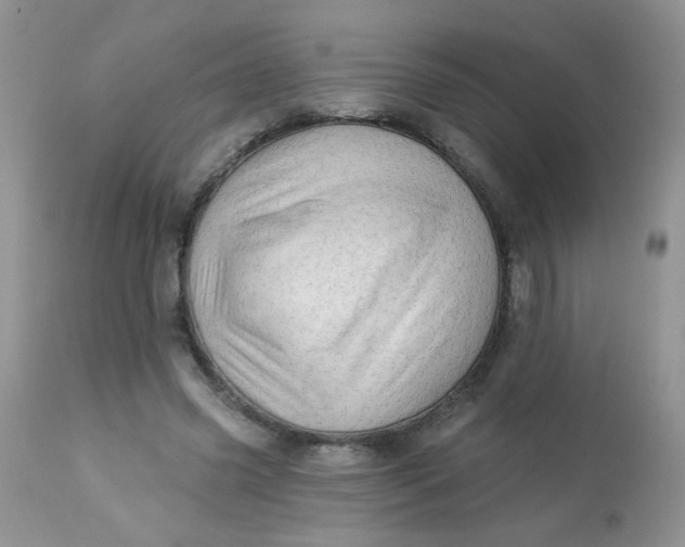 X0000113570541200910091441