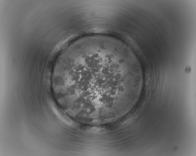 X0000113570542200910091441