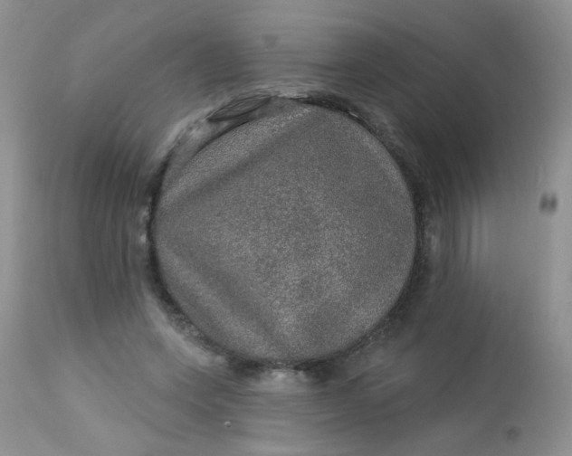 X0000113570543200910091441