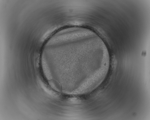 X0000113570544200910091441