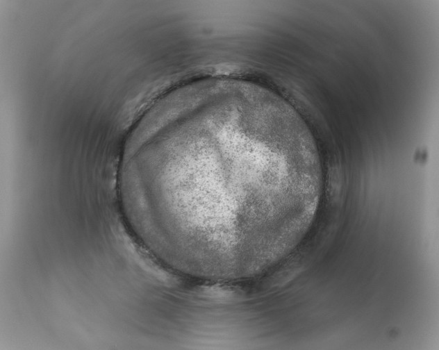 X0000113570545200910091441