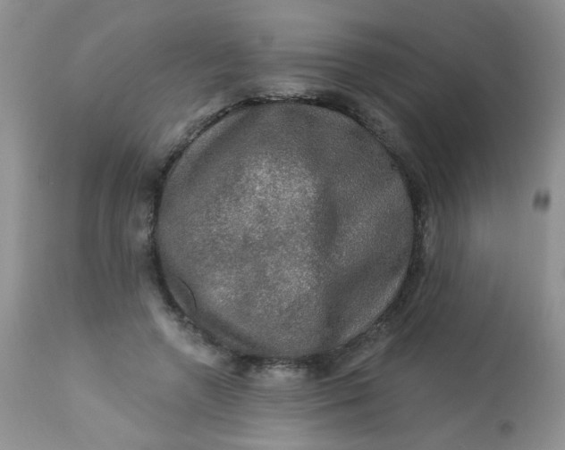 X0000113570546200910091441