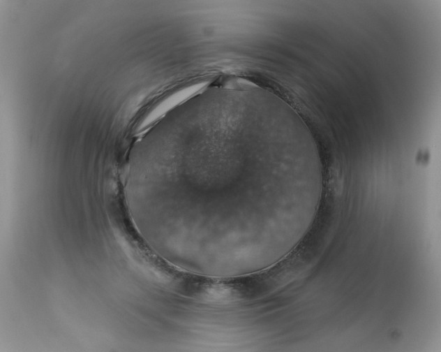 X0000113570547200910091441