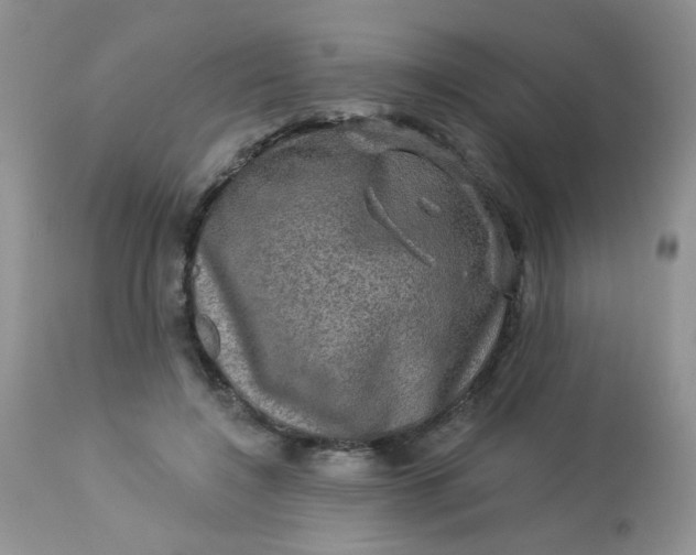 X0000113570548200910091441