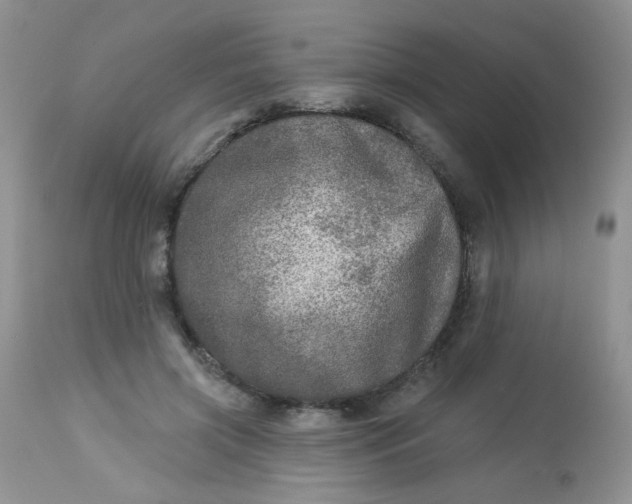 X0000113570549200910091441