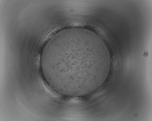 X0000113570550200910091441