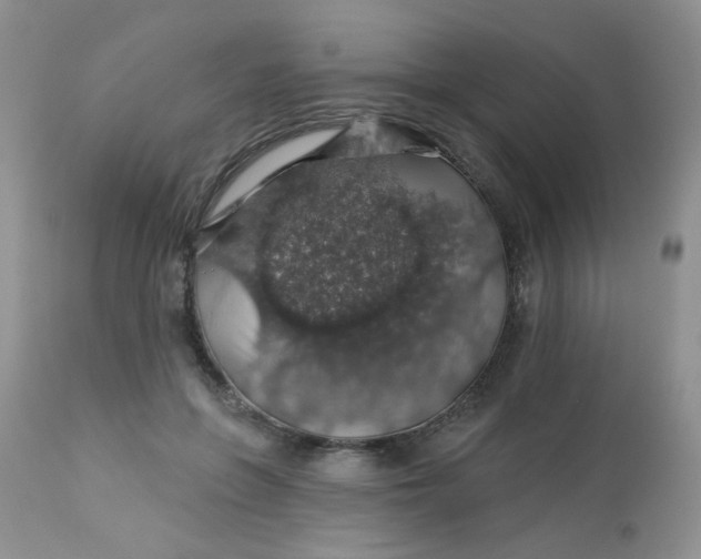 X0000113570551200910091441