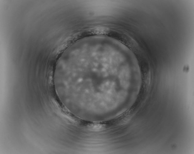 X0000113570553200910091441