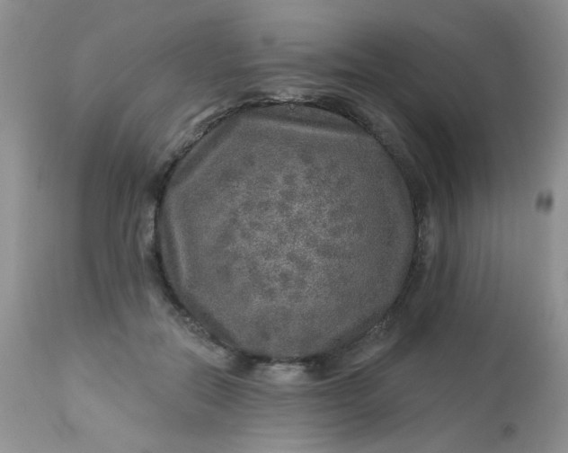 X0000113570554200910091441