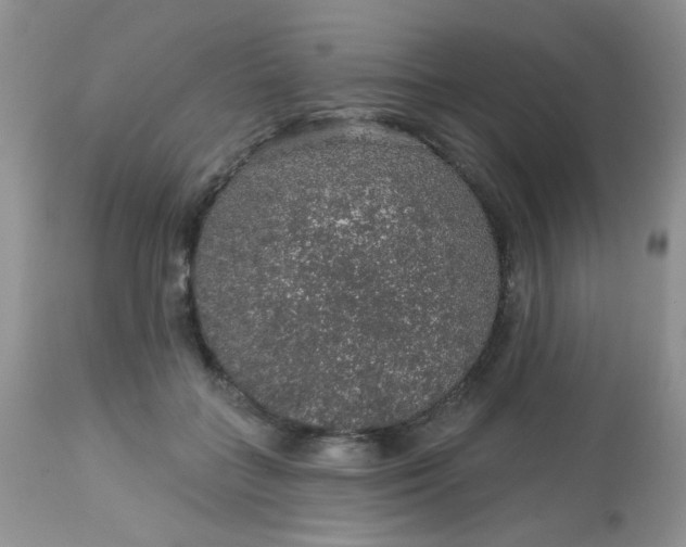 X0000113570555200910091441