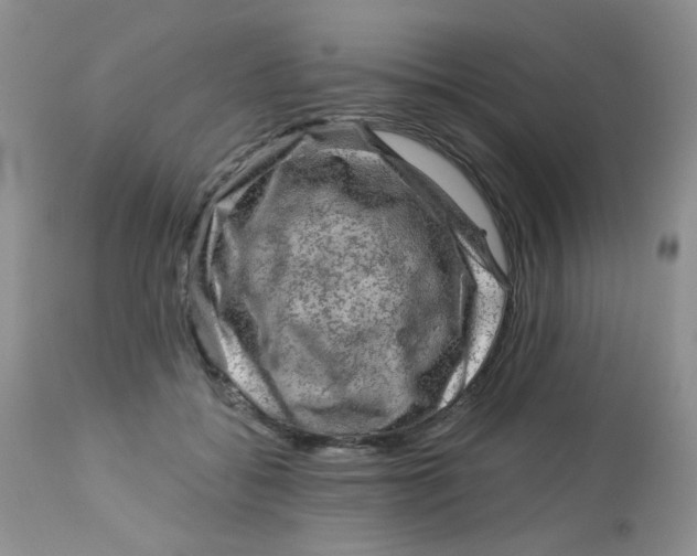 X0000113570556200910091441