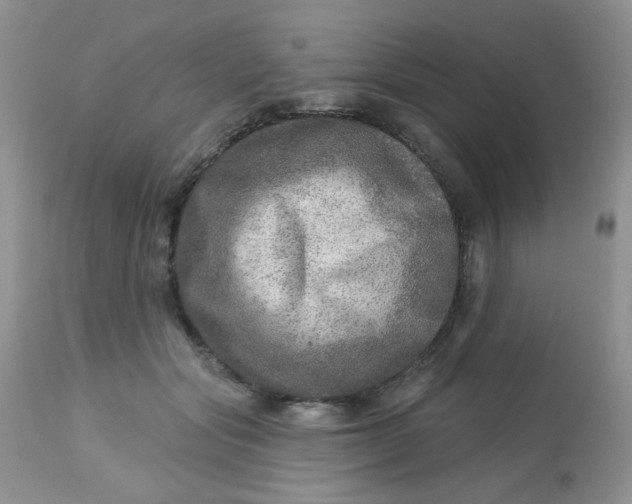 X0000113570557200910091441