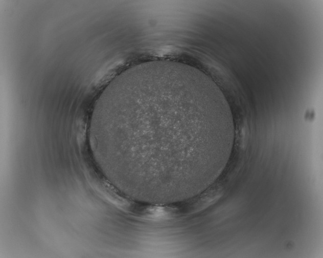 X0000113570558200910091441