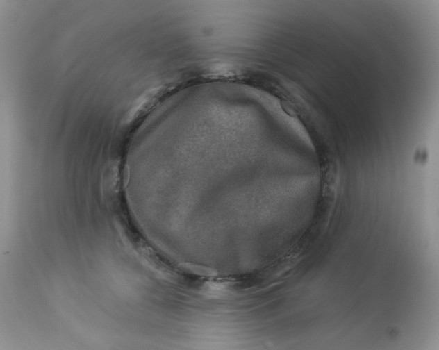 X0000113570560200910091441