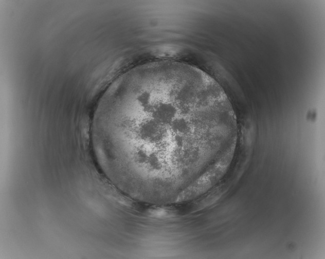 X0000113570561200910091441