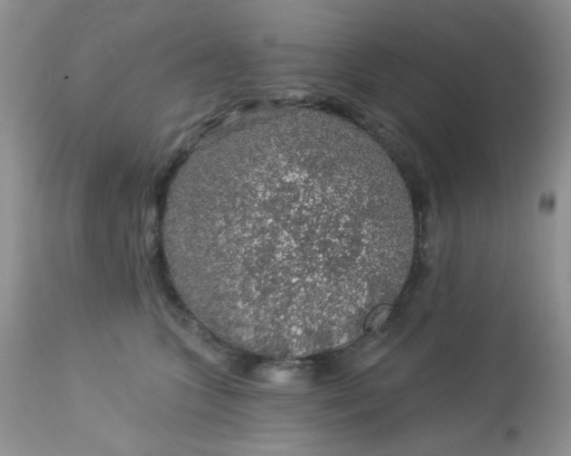 X0000113570563200910091441