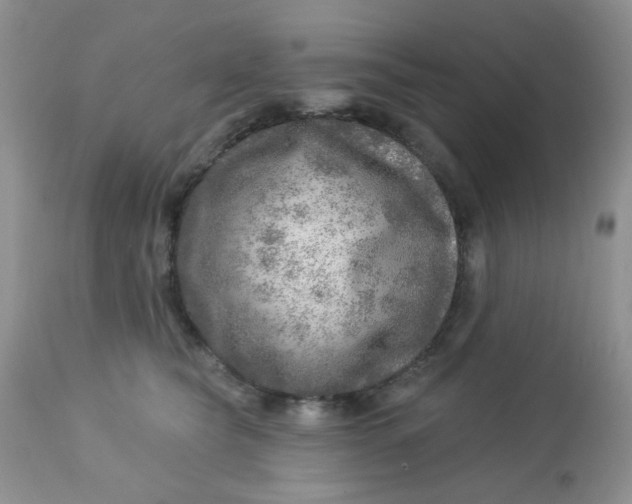 X0000113570565200910091441