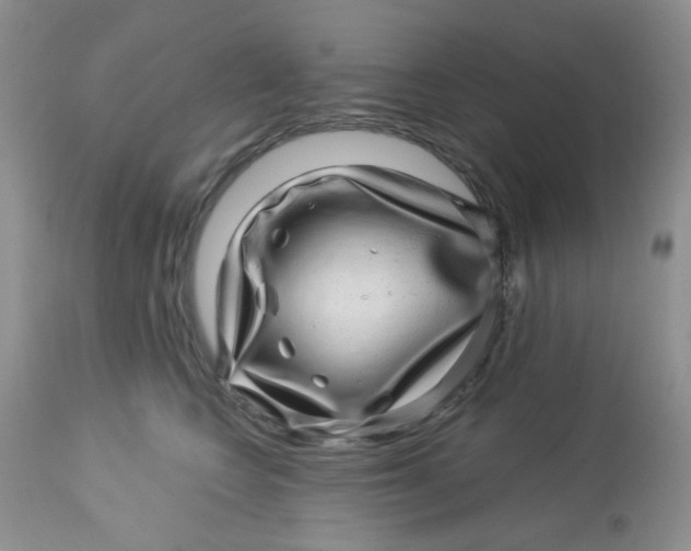 X0000113570566200910091441