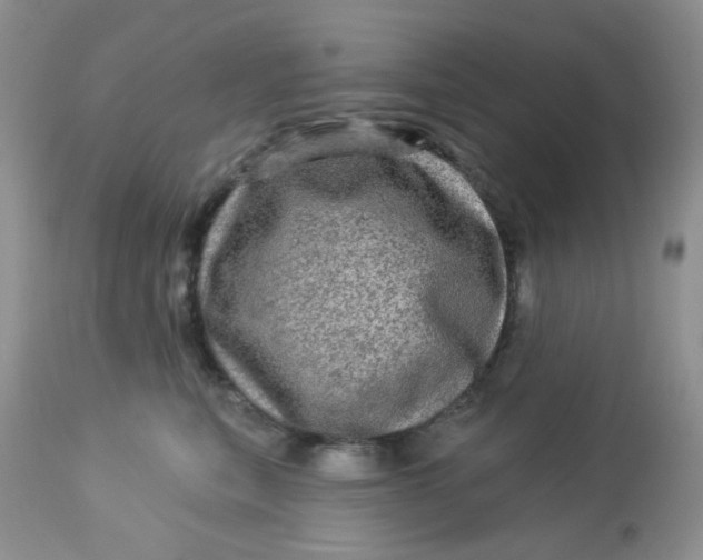 X0000113570567200910091441