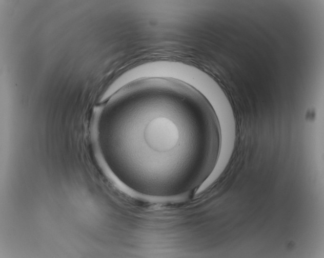 X0000113570568200910091441