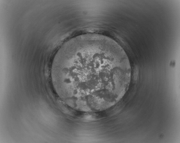 X0000113570569200910091441