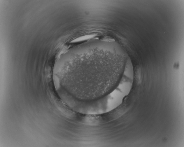 X0000113570571200910091441