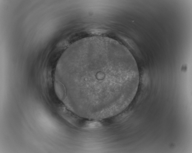 X0000113570572200910091441